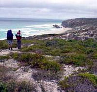 Murray Lagoon - Cape Gantheaume Conservation Park - Accommodation Mooloolaba