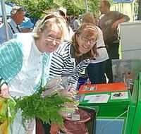 Victor Harbor Farmers Market - Accommodation Mooloolaba