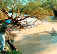 Charleville - Ward River Fishing Spot - Accommodation Mooloolaba