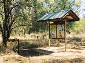 Charleville QLD Accommodation Mooloolaba