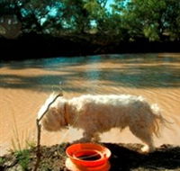 Charleville - 27 Mile Warrego River Fishing Spot - Accommodation Mooloolaba