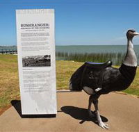 Birdman of the Coorong - Accommodation Mooloolaba