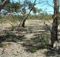 Tintinara Walking Trail - Accommodation Mooloolaba