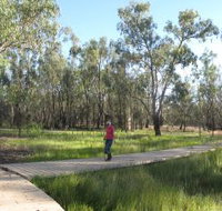 Ben Scott Memorial Bird Trail - Accommodation Mooloolaba