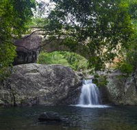 Paluma and Crystal Creek Rainforest - Accommodation Mooloolaba