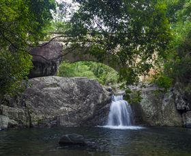 Paluma And Crystal Creek Rainforest - Accommodation Mooloolaba 0