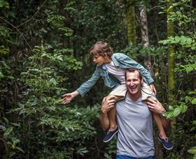 Paluma And Crystal Creek Rainforest - Accommodation Mooloolaba 1