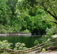 Broadwater Abergowrie State Forest - Accommodation Mooloolaba