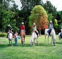 Limestone Coast Horseriding - Accommodation Mooloolaba