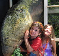 Australian Opal Centre - Accommodation Mooloolaba