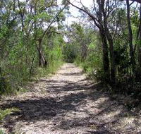 Lanky's Walk - Accommodation Mooloolaba