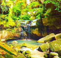 Carnarvon Gorge Carnarvon National Park - Accommodation Mooloolaba