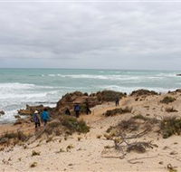 The Seaview Walking Trail - Accommodation Mooloolaba