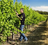 Patrick of Coonawarra - Accommodation Mooloolaba