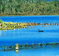 Hasties Swamp National Park - Accommodation Mooloolaba