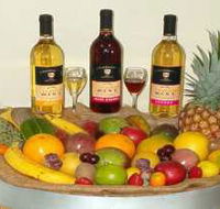 de Brueys Boutique Wines and Functions Venue - Accommodation Mooloolaba