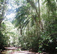 Mount Lewis National Park - Accommodation Mooloolaba
