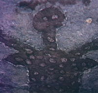 Quinkan Reserves Ancient Rock Art - Accommodation Mooloolaba