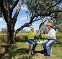 Restdown Wines and Walking Trail - Accommodation Mooloolaba