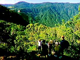 Eungella National Park - Accommodation Mooloolaba 3