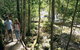 Eungella National Park - thumb 2