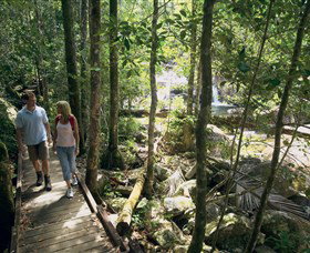 Eungella National Park - Accommodation Mooloolaba 2