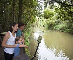 Platypus Viewing At Broken River - Accommodation Mooloolaba 1