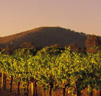 Taltarni Vineyards - Accommodation Mooloolaba
