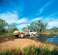 Rinyirru Lakefield National Park CYPAL - Accommodation Mooloolaba