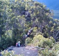 Mia Mia State Forest - Accommodation Mooloolaba