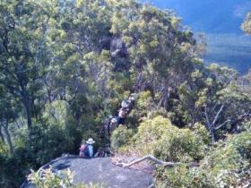 Mia Mia State Forest - Accommodation Mooloolaba 0