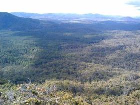 Mia Mia State Forest - Accommodation Mooloolaba 1