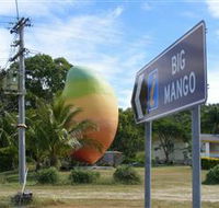 Big Mango - Accommodation Mooloolaba