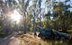 Forest Drive - thumb 1