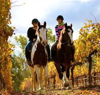 Billabong Ranch - Accommodation Mooloolaba