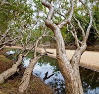 Oyala Thumotang National Park CYPAL - Accommodation Mooloolaba