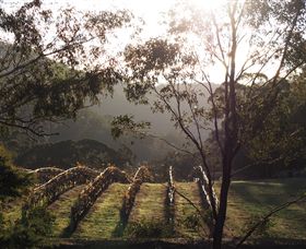 Mountainside Wines - Accommodation Mooloolaba 3