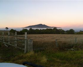 Mountainside Wines - Accommodation Mooloolaba 2