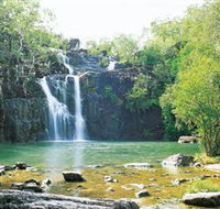 Cedar Creek Falls - Accommodation Mooloolaba