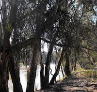 Mia Forest Drives Narrandera - Accommodation Mooloolaba