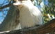 Bird Watching - thumb 1