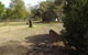 Cemetery Walk Self-Guided Tour - thumb 1