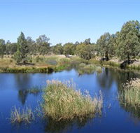 Narrandera Wetlands - Accommodation Mooloolaba