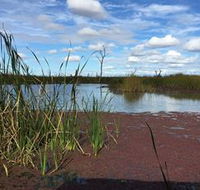 Gwydir Wetlands - Accommodation Mooloolaba
