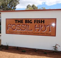 Big Fish Fossil Hut at Peak Hill - Accommodation Mooloolaba