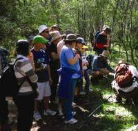 Warrumbungle National Park Discovery Program - Accommodation Mooloolaba