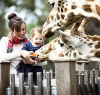 Taronga Western Plains Zoo Dubbo - Accommodation Mooloolaba