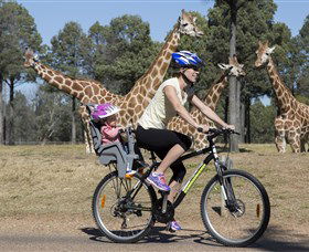 Taronga Western Plains Zoo, Dubbo - Accommodation Mooloolaba 2