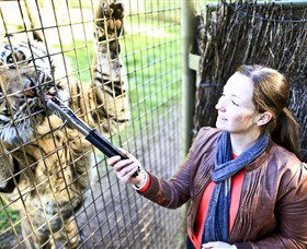 Taronga Western Plains Zoo, Dubbo - Accommodation Mooloolaba 3