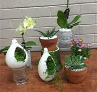 Cobram Florist - Accommodation Mooloolaba